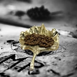 Diamond Oud - view 2